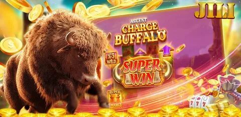 duu.com bet 