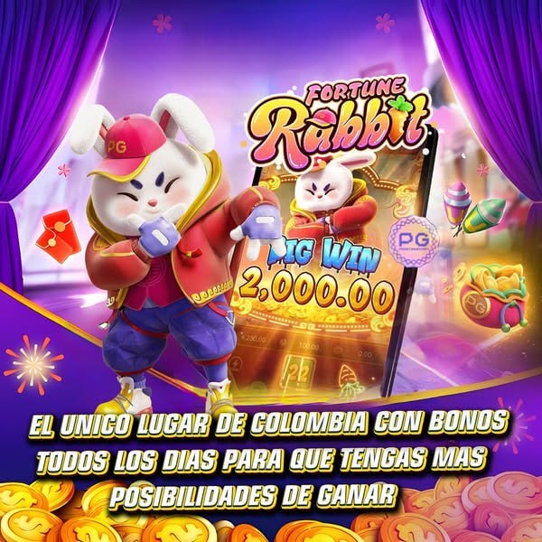 multicanais bet 